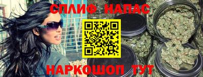 спиды Гусев