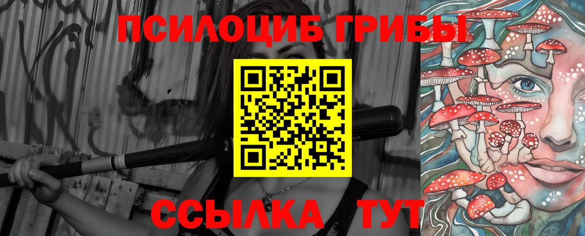 Карасук  Галлюциногенные грибы Psilocybine cubensis  Вход с VPN 